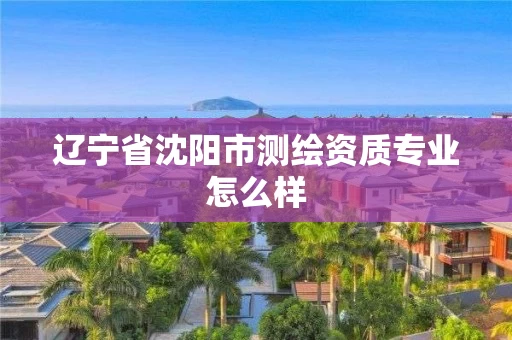 辽宁省沈阳市测绘资质专业怎么样 辽宁省沈阳市测绘资质专业怎么样