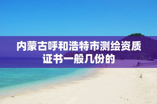 内蒙古呼和浩特市测绘资质证书一般几份的