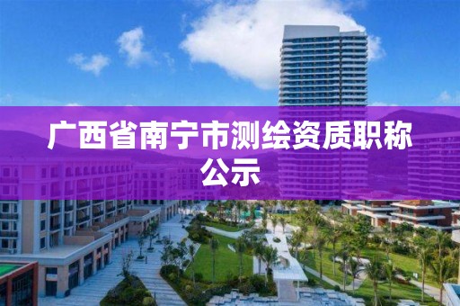 广西省南宁市测绘资质职称公示