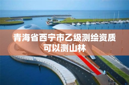 青海省西宁市乙级测绘资质可以测山林