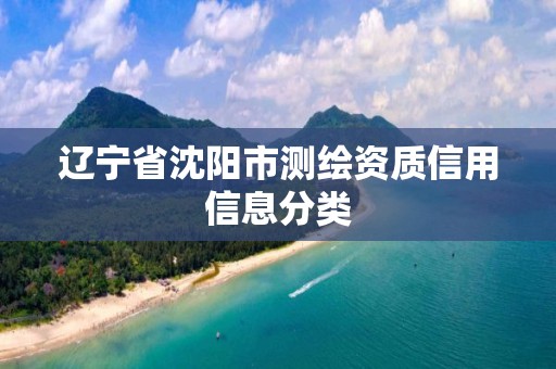 辽宁省沈阳市测绘资质信用信息分类