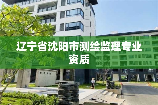 辽宁省沈阳市测绘监理专业资质