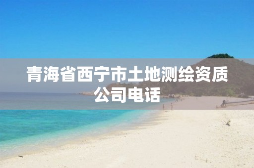 青海省西宁市土地测绘资质公司电话