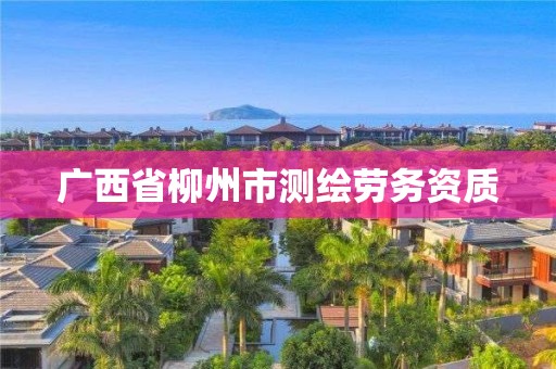 广西省柳州市测绘劳务资质