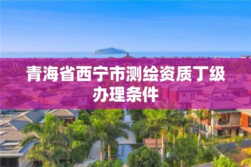 青海省西宁市测绘资质丁级办理条件