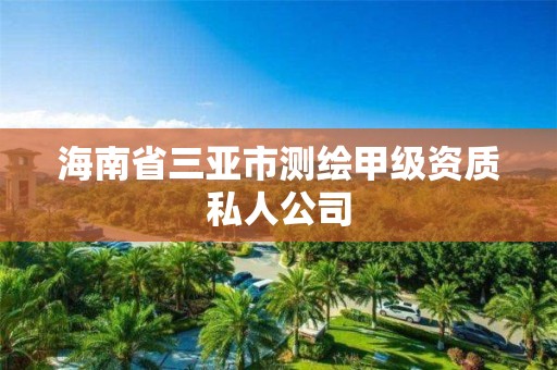 海南省三亚市测绘甲级资质私人公司