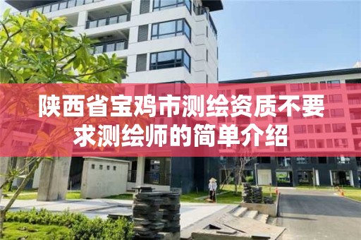 陕西省宝鸡市测绘资质不要求测绘师的简单介绍