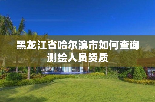 黑龙江省哈尔滨市如何查询测绘人员资质