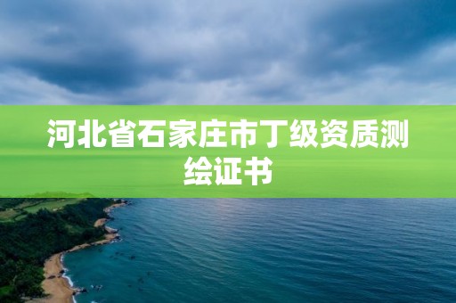 河北省石家庄市丁级资质测绘证书