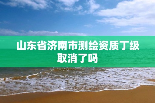 山东省济南市测绘资质丁级取消了吗