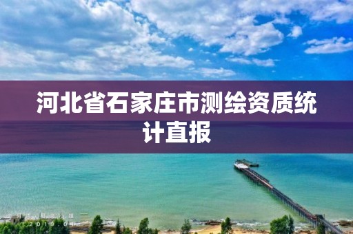 河北省石家庄市测绘资质统计直报