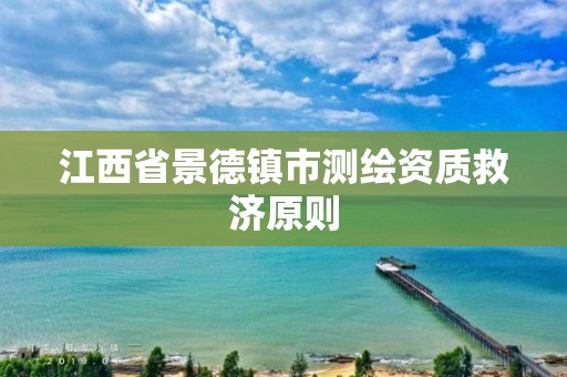 江西省景德镇市测绘资质救济原则