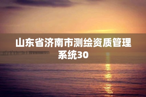 山东省济南市测绘资质管理系统30