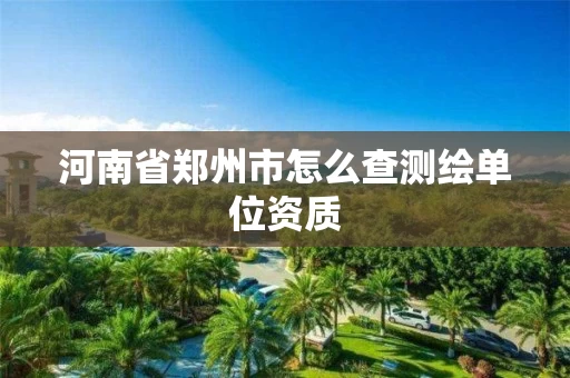 河南省郑州市怎么查测绘单位资质 河南省郑州市怎么查测绘单位资质