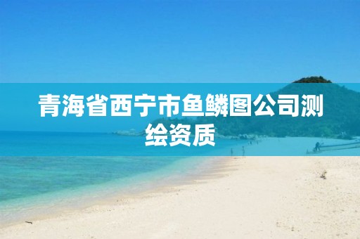 青海省西宁市鱼鳞图公司测绘资质