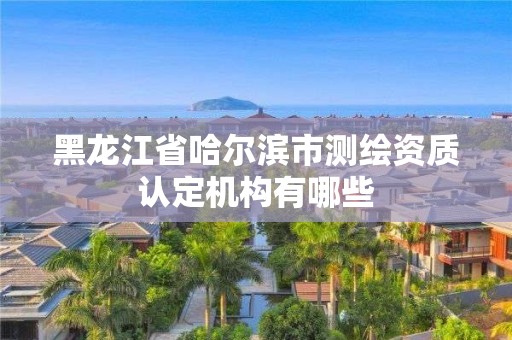 黑龙江省哈尔滨市测绘资质认定机构有哪些