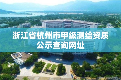 浙江省杭州市甲级测绘资质公示查询网址