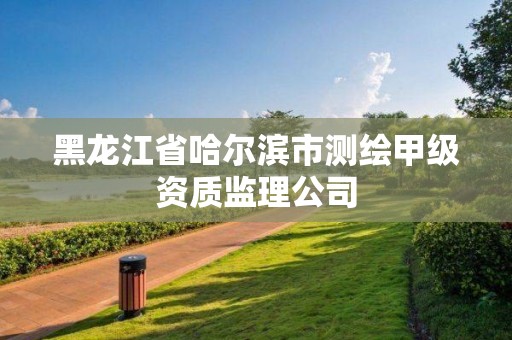 黑龙江省哈尔滨市测绘甲级资质监理公司