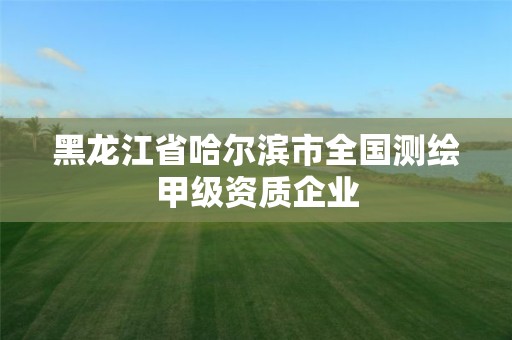 黑龙江省哈尔滨市全国测绘甲级资质企业