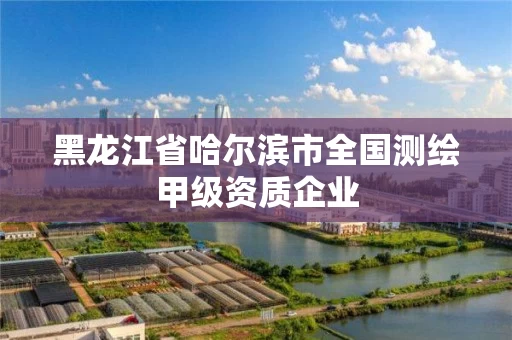 黑龙江省哈尔滨市全国测绘甲级资质企业 黑龙江省哈尔滨市全国测绘甲级资质企业