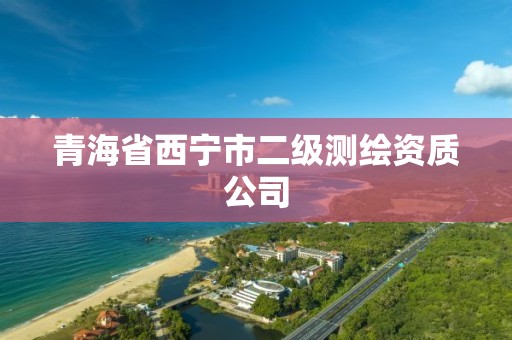 青海省西宁市二级测绘资质公司