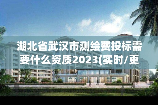 湖北省武汉市测绘费投标需要什么资质2023(实时/更新中)