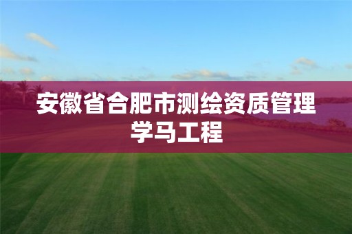 安徽省合肥市测绘资质管理学马工程