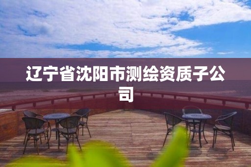 辽宁省沈阳市测绘资质子公司