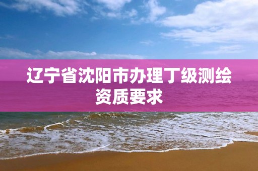 辽宁省沈阳市办理丁级测绘资质要求