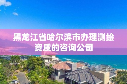 黑龙江省哈尔滨市办理测绘资质的咨询公司