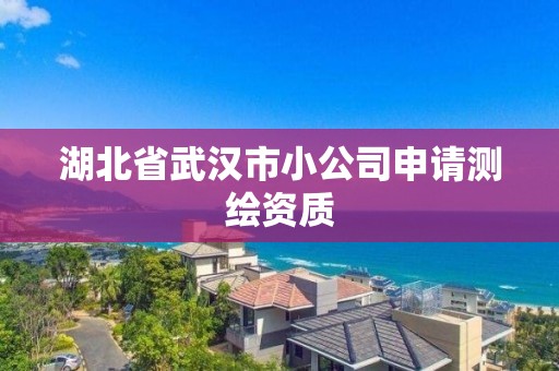 湖北省武汉市小公司申请测绘资质