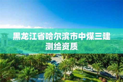 黑龙江省哈尔滨市中煤三建测绘资质