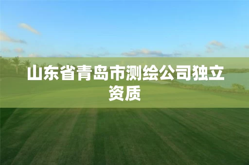 山东省青岛市测绘公司独立资质 山东省青岛市测绘公司独立资质