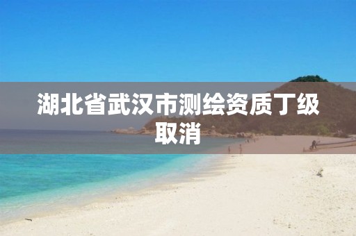 湖北省武汉市测绘资质丁级取消