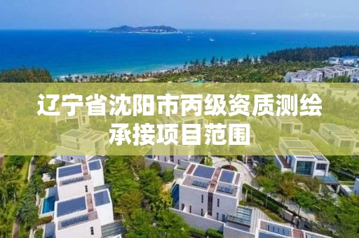 辽宁省沈阳市丙级资质测绘承接项目范围 辽宁省沈阳市丙级资质测绘承接项目范围
