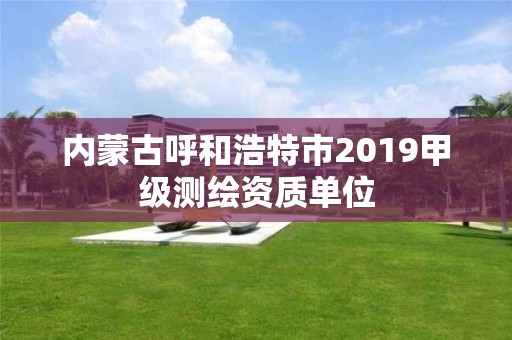 内蒙古呼和浩特市2019甲级测绘资质单位