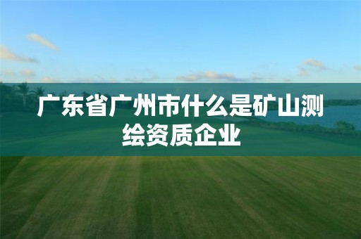 广东省广州市什么是矿山测绘资质企业