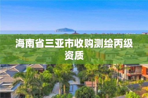 海南省三亚市收购测绘丙级资质