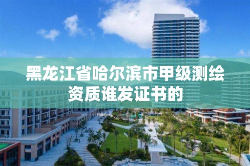 黑龙江省哈尔滨市甲级测绘资质谁发证书的