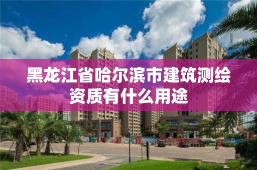 黑龙江省哈尔滨市建筑测绘资质有什么用途