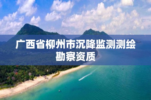 广西省柳州市沉降监测测绘勘察资质