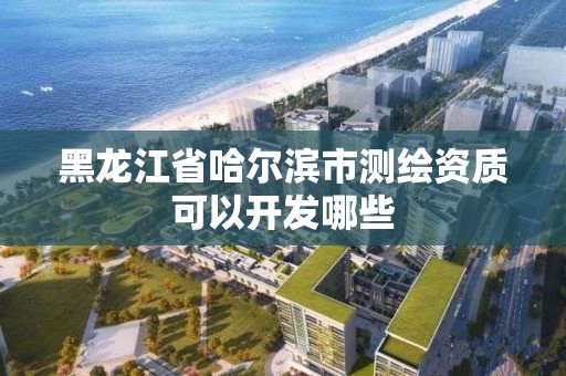 黑龙江省哈尔滨市测绘资质可以开发哪些