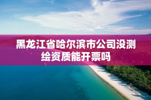 黑龙江省哈尔滨市公司没测绘资质能开票吗