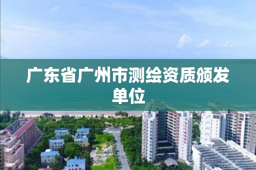 广东省广州市测绘资质颁发单位