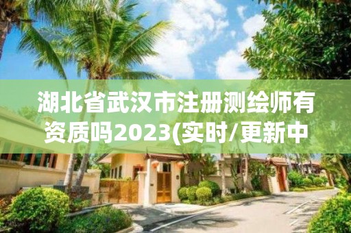 湖北省武汉市注册测绘师有资质吗2023(实时/更新中)