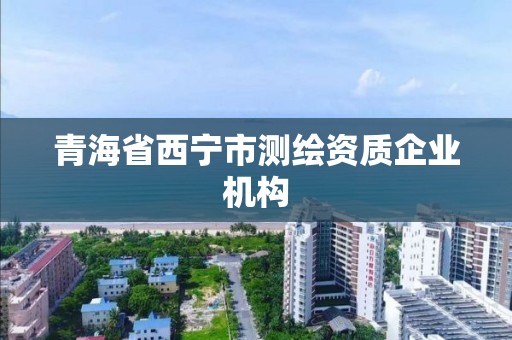 青海省西宁市测绘资质企业机构