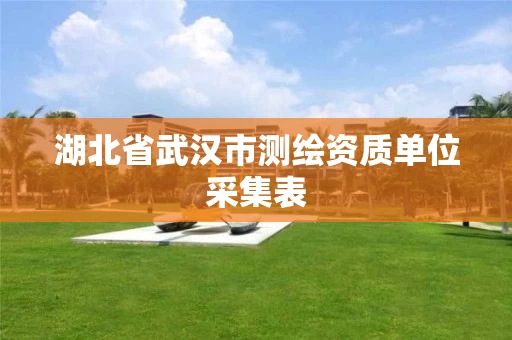 湖北省武汉市测绘资质单位采集表 湖北省武汉市测绘资质单位采集表