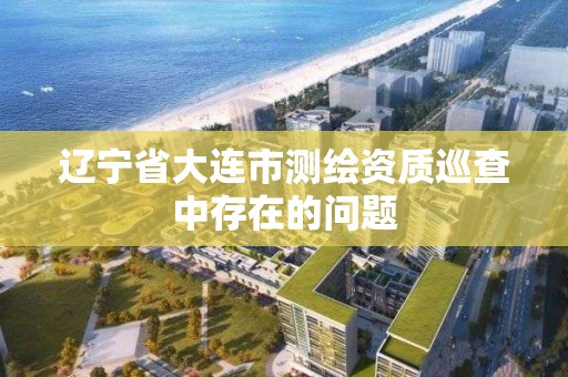 辽宁省大连市测绘资质巡查中存在的问题