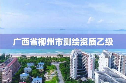 广西省柳州市测绘资质乙级