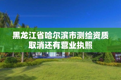 黑龙江省哈尔滨市测绘资质取消还有营业执照